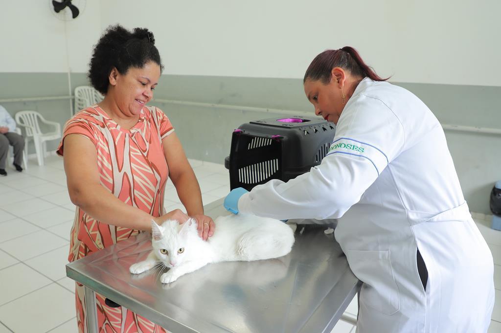 Vacinação contra raiva: confira o funcionamento do posto fixo em março